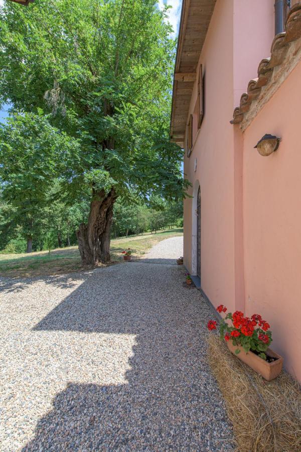 Tenuta Cascina Marenco Gavi Exteriör bild